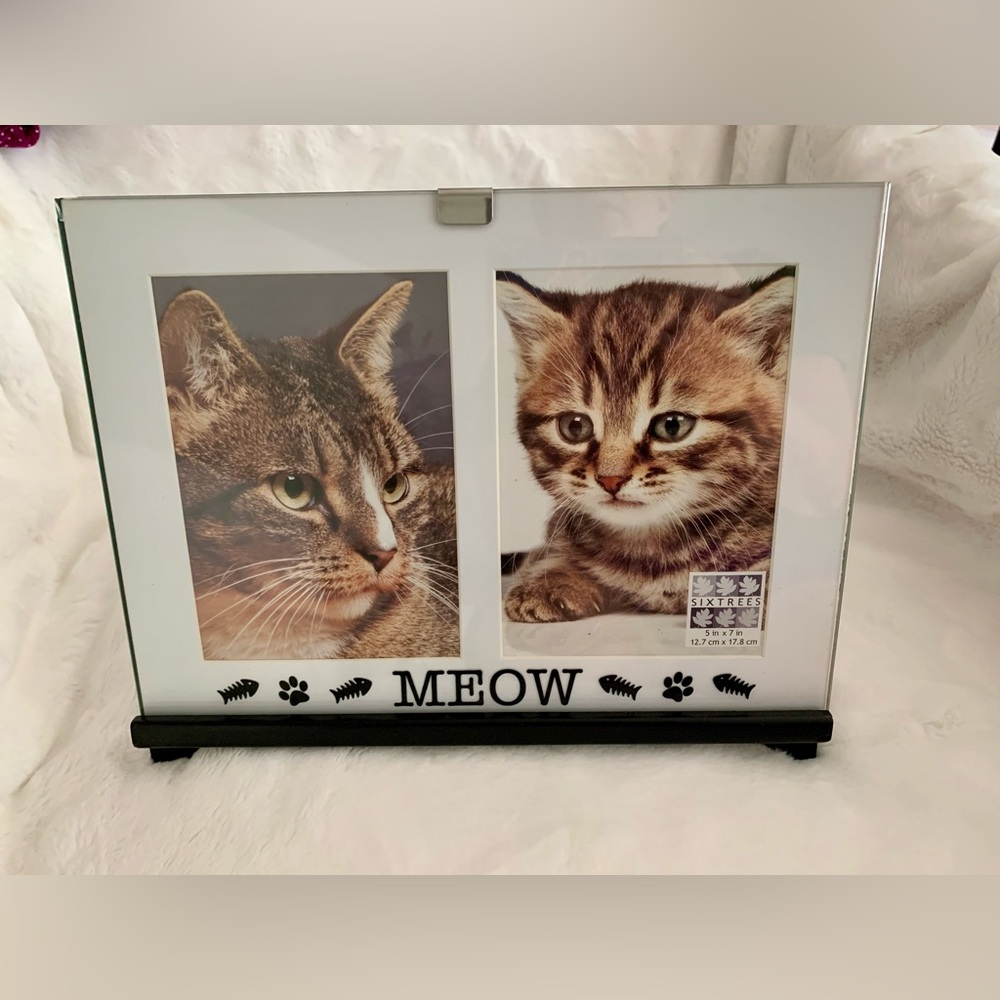 Sixtrees MEOW Cat Duo Picture Frame 5” X 7” Photo Spaces Kitty Easel Frame Home